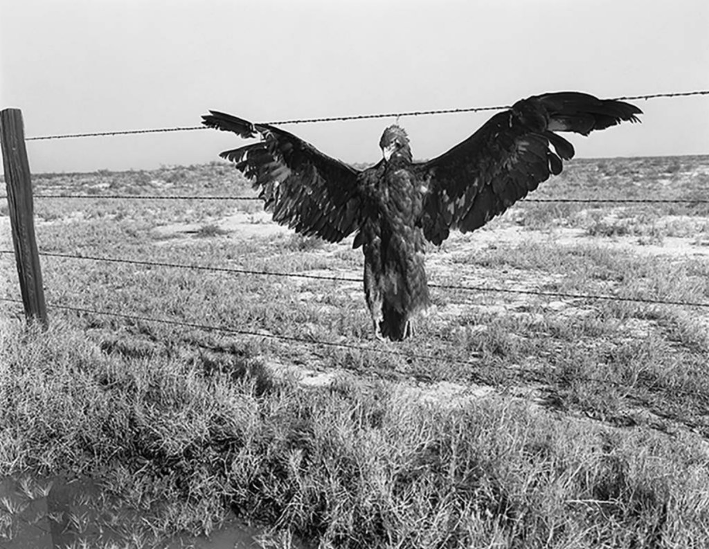 Nichita. Cum se moare ca pe&nbsp;vremuri